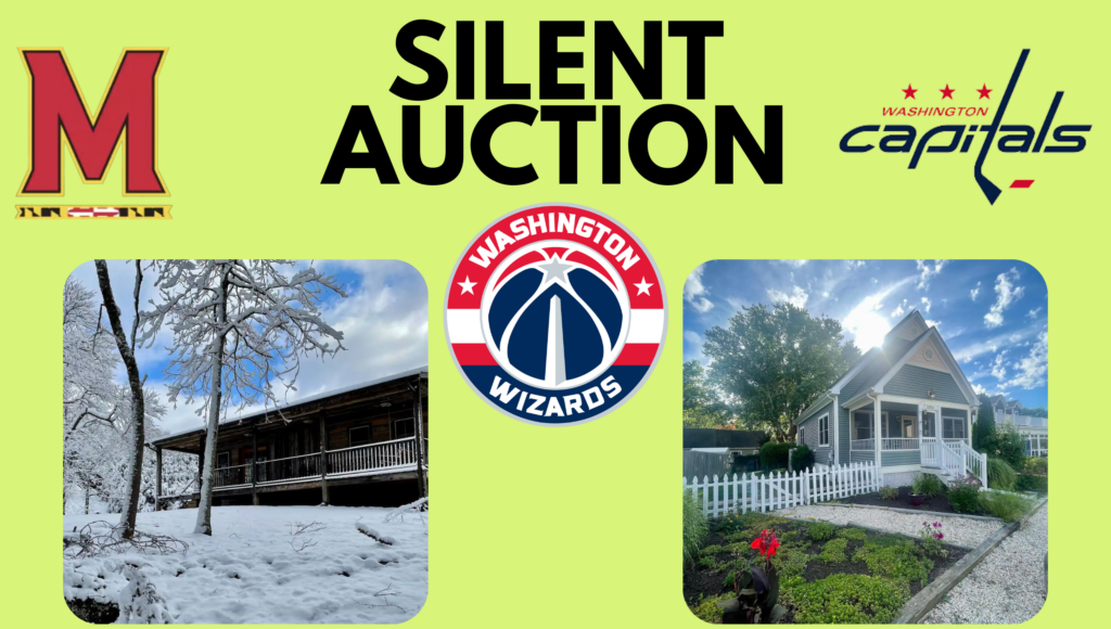 silent auction web image - University of Maryland logo, Washington Capitals logo, Washington Wizards logo, image of cabin in snow, image of beach house