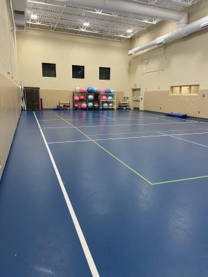 multi-purpose room with blue floors and padded walls. yoga balls, medicine balls, and shed with fitness equipment